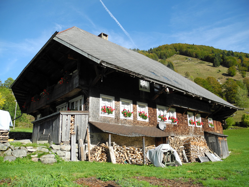 Schwarzwaldromantik